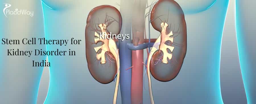Stem Cell Therapy for Kidney Disorder in India