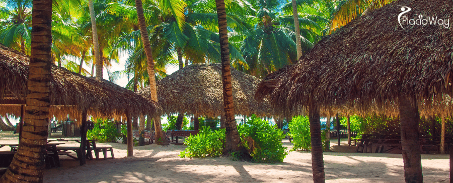 Tropical Beach in Dominican Republic