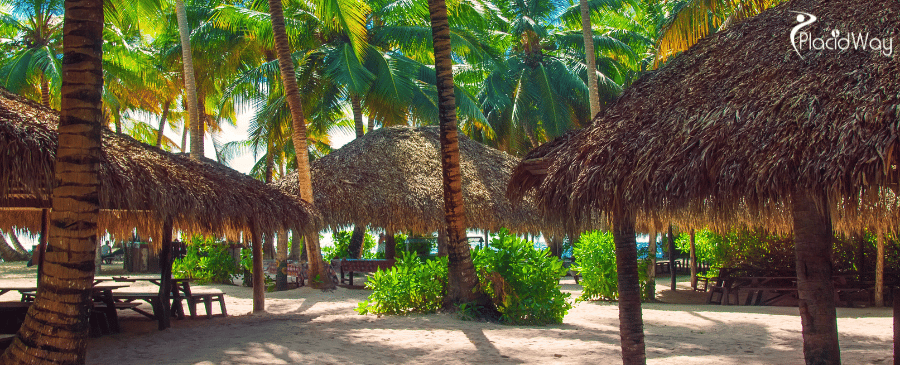 Tropical Beach in Dominican Republic