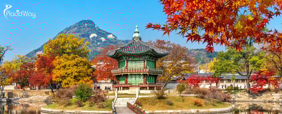 Gyeongbokgung Palace in Autumn,Seoul in South Korea