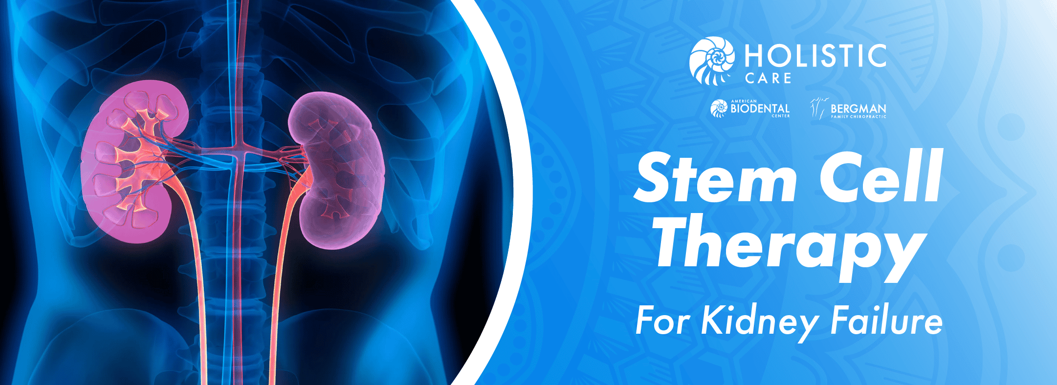 Banners Paquetes Stem Cells