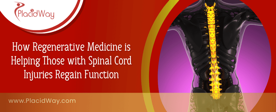How Regenerative Medicine is Helping Those with Spinal Cord Injuries Regain Function