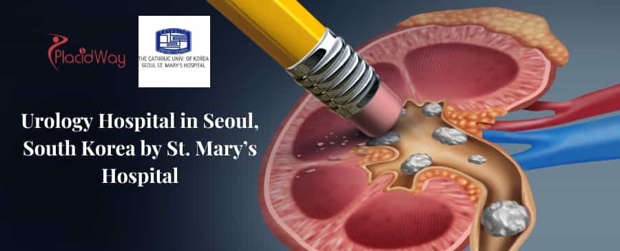 Urology Hospital in Seoul, South Korea by St. Marys Hospital