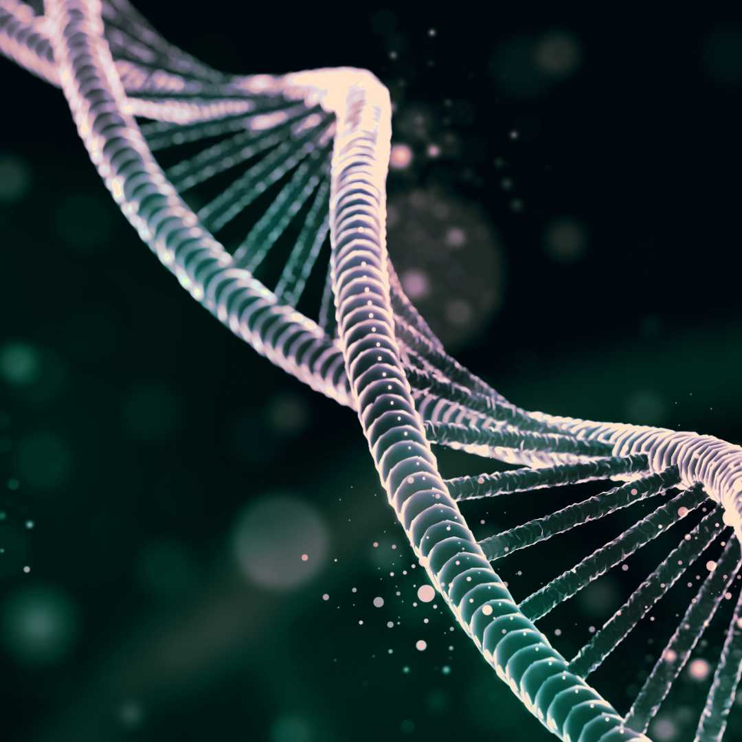 Stem Cell Packages in Mexico