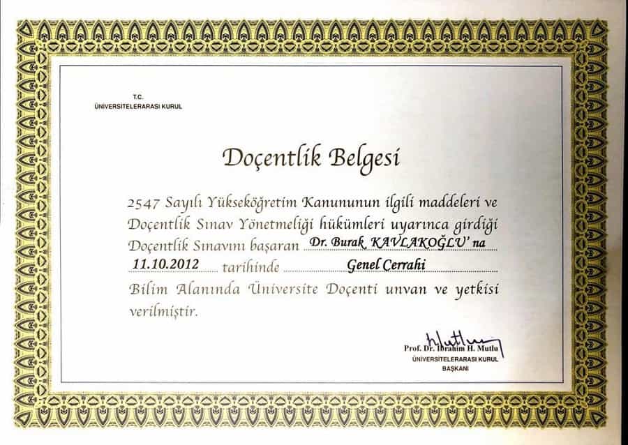Prof. Dr. Burak Kavlakoglu Award