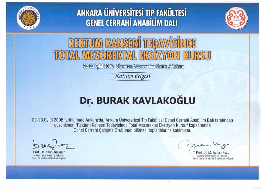 Certificate from Prof. Dr. Burak Kavlakoglu