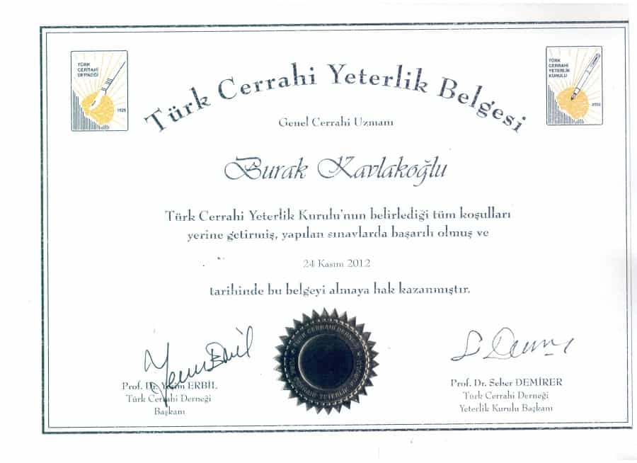 Prof. Dr. Burak Kavlakoglu Certificate