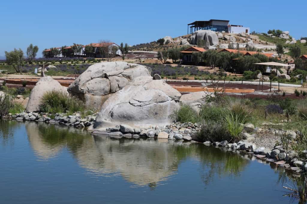 Eleva tu bienestar Montevalle Baja California Tijuana México Resort de salud