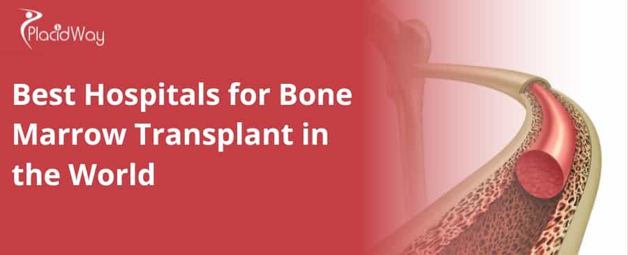 10 best hospital for bone marrow transplant in the world