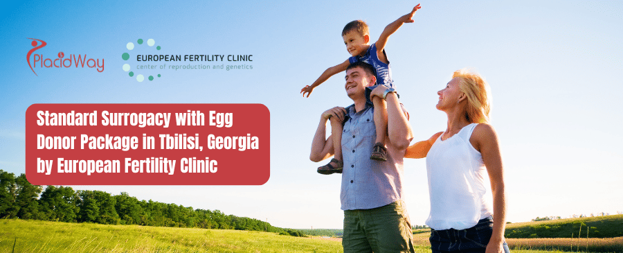 Standard Surrogacy with Egg Donor Package in Tbilisi, Georgia by European Fertility Clinic