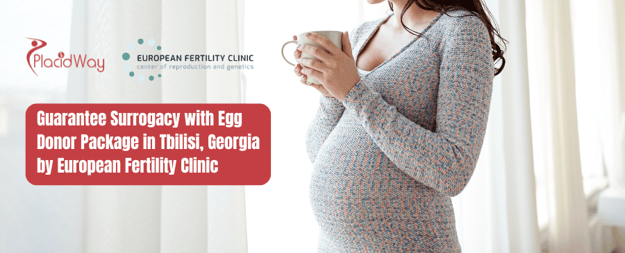 Guarantee Surrogacy with Egg Donor Package in Tbilisi, Georgia by European Fertility Clinic