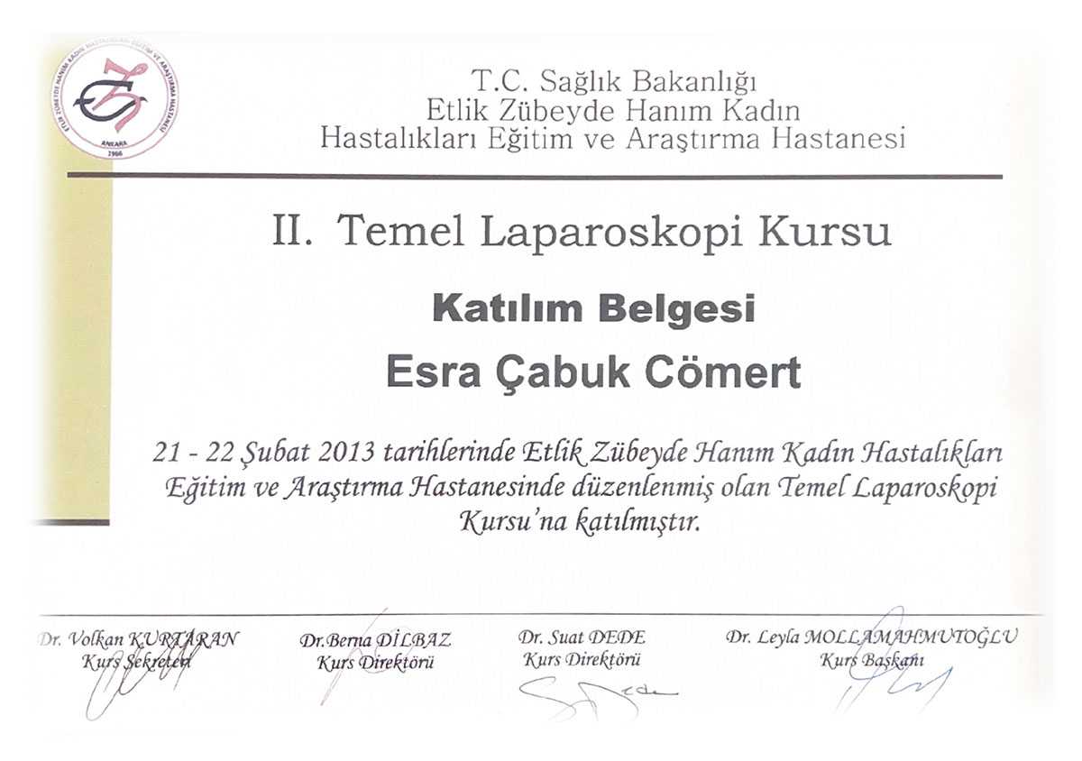 Dr. Esra Cabuk Comert Certificates