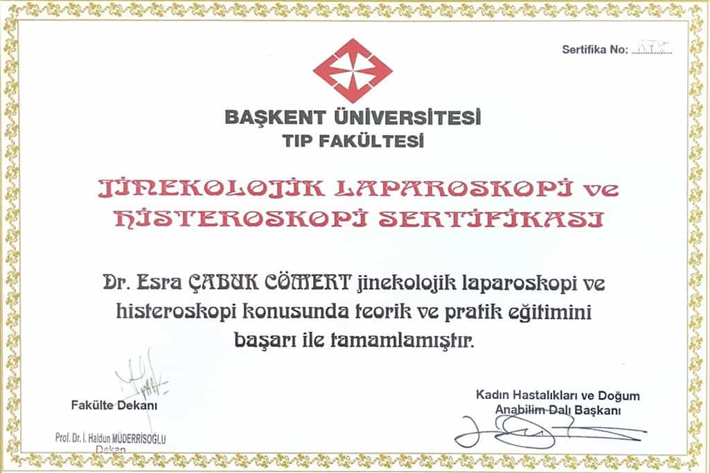Certificate Received by Dr. Esra Cabuk Comert