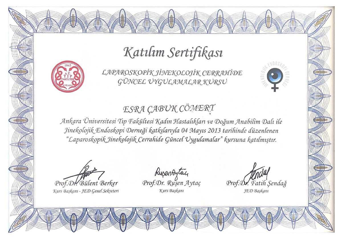Award Received by Dr. Esra Cabuk Comert
