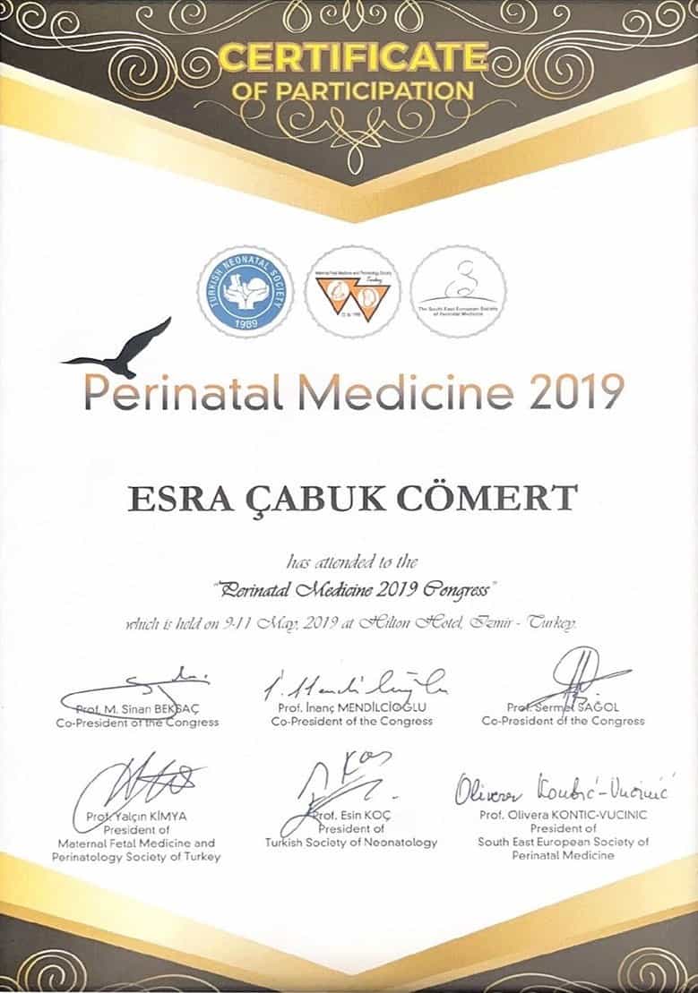 Certificate Received by Dr. Esra Cabuk Comert in Ankara Turkey