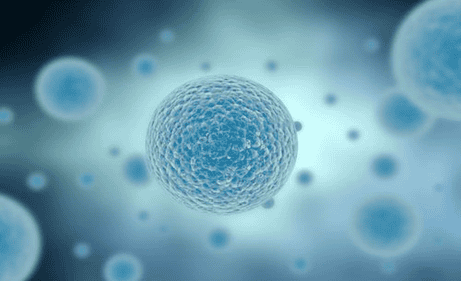 Stem Cell Therapy Package for Blood Cancer in Beijing, China by Bioocus Biotech
