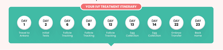 Overview of the IVF with PGT