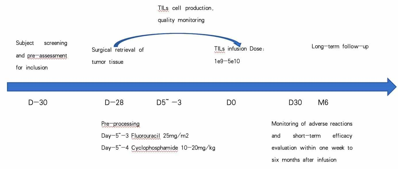 TILs Therapy in Beijing China