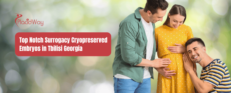 Top Notch Surrogacy Cryopreserved Embryos in Tbilisi Georgia