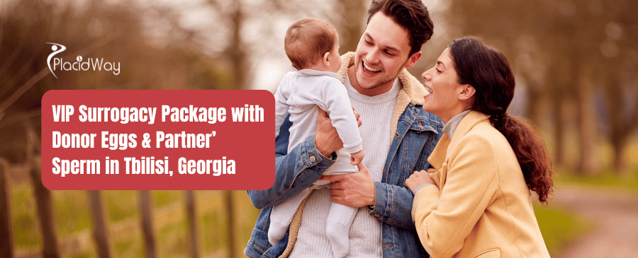 VIP Surrogacy Package with Donor Eggs and Partner Sperm in Georgia