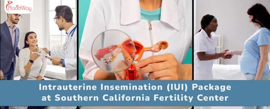 IUI Package