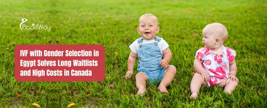 IVF with Gender Selection in Egypt Solves Long Waitlists and High Costs in Canada