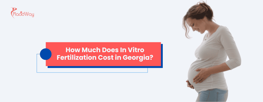How much does In Vitro Fertilization cost in Georgia?