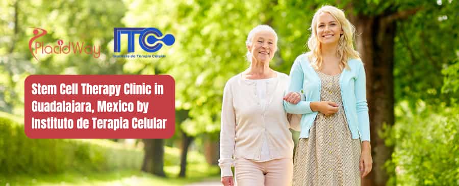 Stem Cell Guadalajara Mexico by Instituto de Terapia Celular