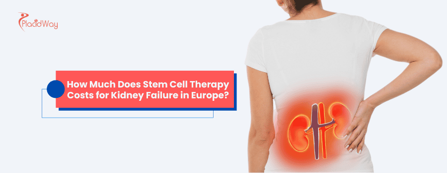 How Much Does Stem Cell Therapy Costs for Kidney Failure in Europe?