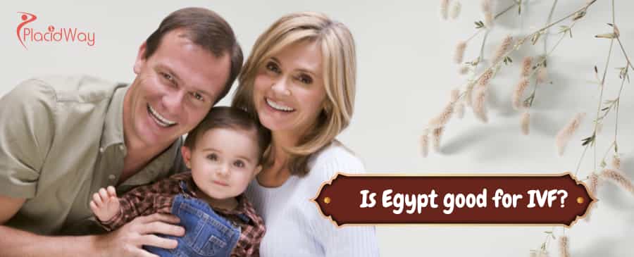 IVF in Egypt