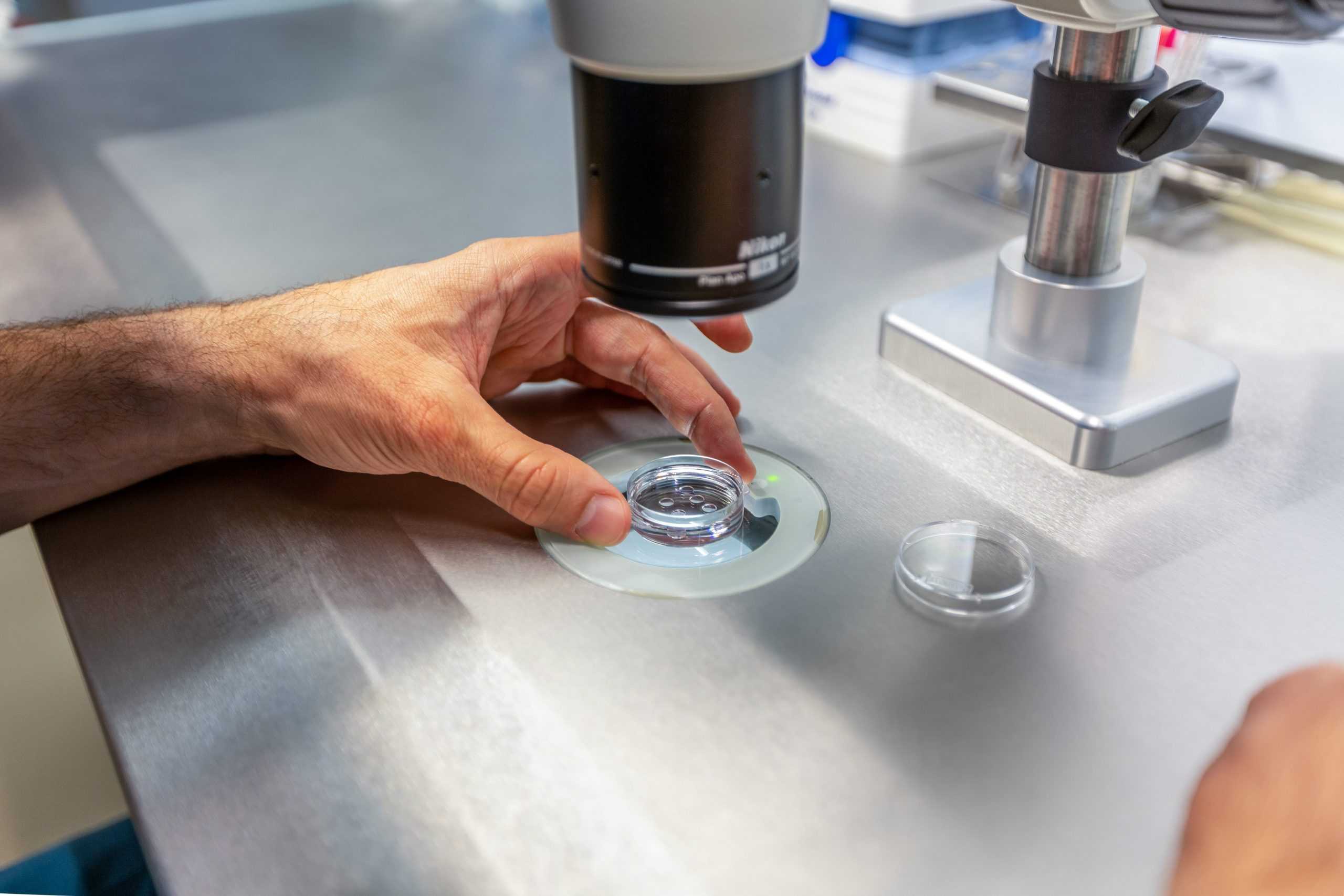 ivf treatment in georgia