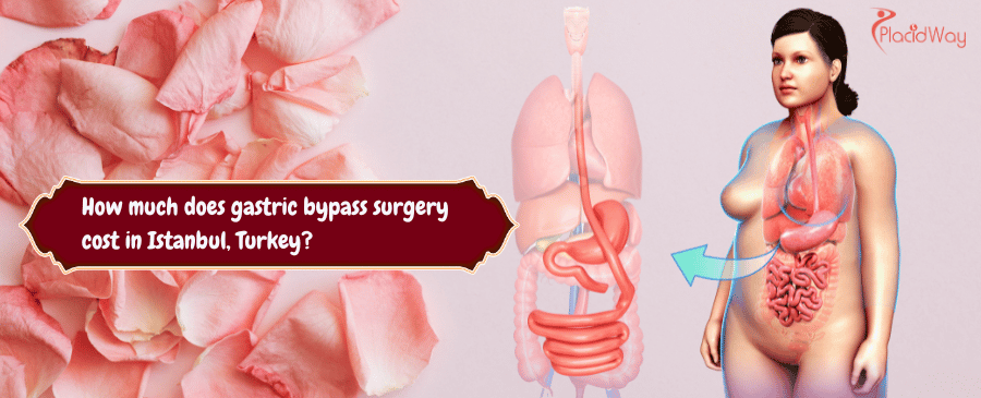 gastric bypass surgery cost in Istanbul, Turkey