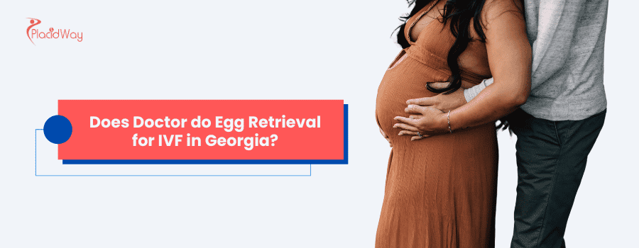 Does Doctor do Egg Retrieval for IVF in Georgia?