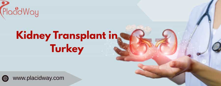 kidney transplant in Turkey