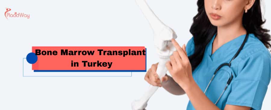 Bone Marrow Transplant  in Turkey
