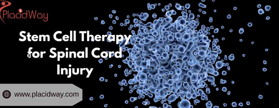 stem cell therapy work for spinal cord injury