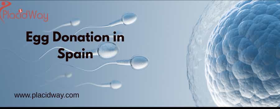 egg donation in Spain