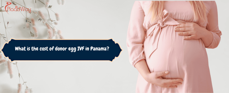 cost of donor egg IVF in Panama