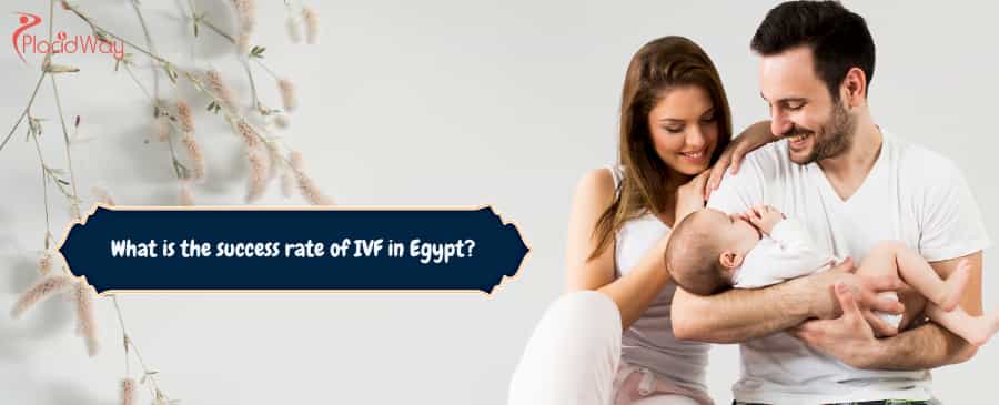  IVF in Egypt