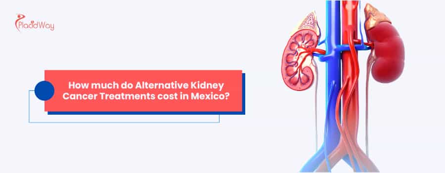 How much do Alternative Kidney Cancer Treatments cost in Mexico?