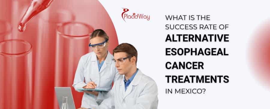 What Is The Success Rate Of