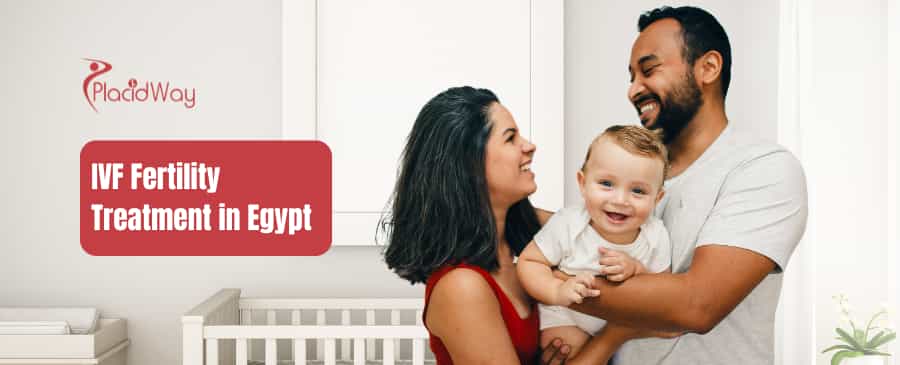  IVF Cycle in Egypt