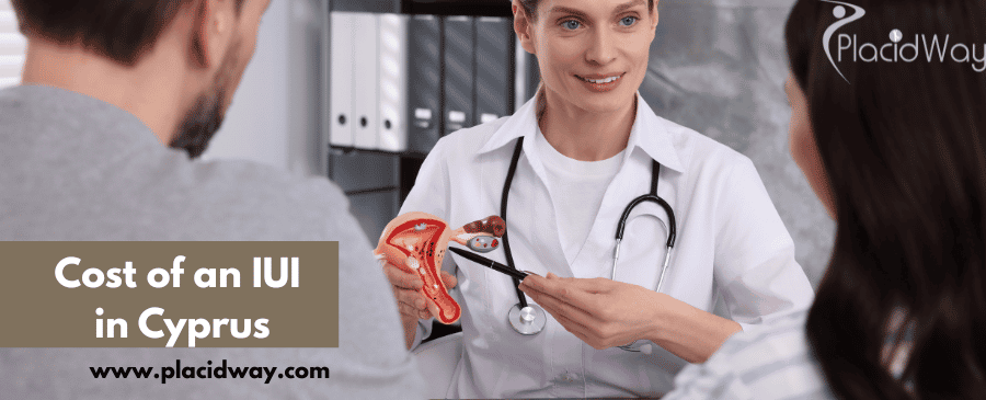 Costo de una IIU en Chipre
