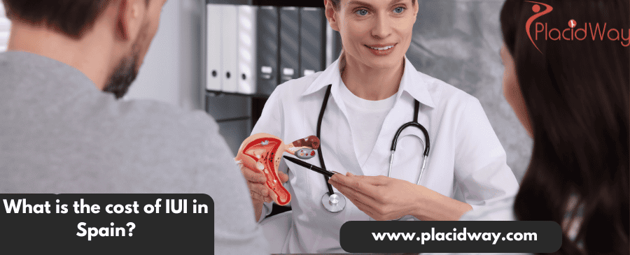 ¿Cuál es el coste de la IIU en España?