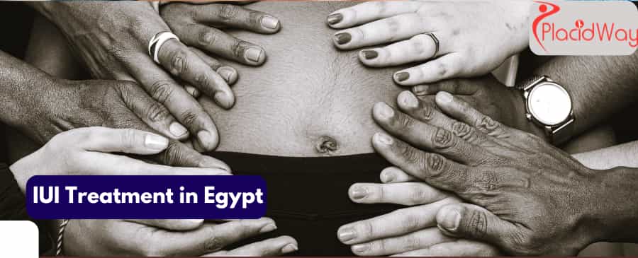  IUI treatment in Egypt