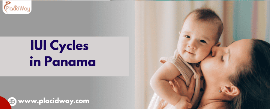 IUI Cycles in Panama