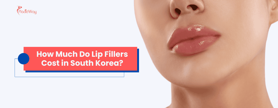 How Much Do Lip Fillers Cost in South Korea?