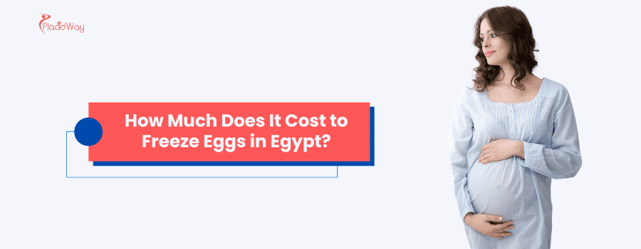 How Much Does It Cost to Freeze Eggs in Egypt?
