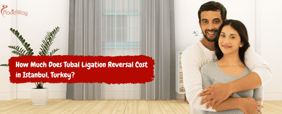 Tubal Ligation Reversal Cost in Istanbul, Turkey