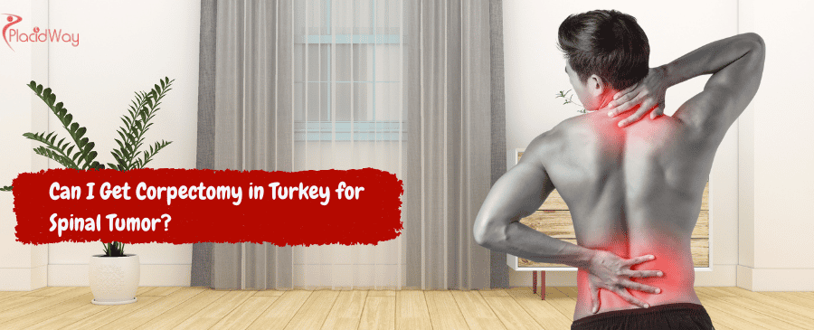 Corpectomy in Turkey